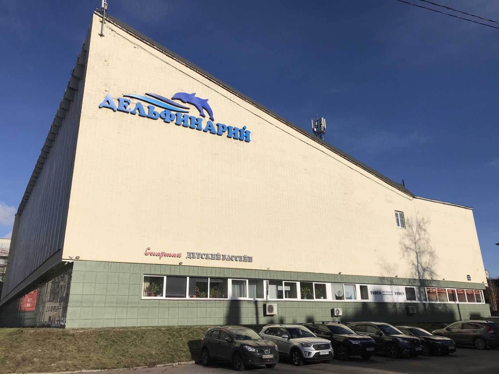 детская школа плавания Кроль фото 2