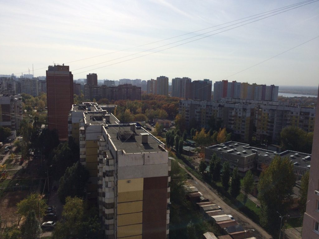 бассейн для детей Заморские котики фото 2