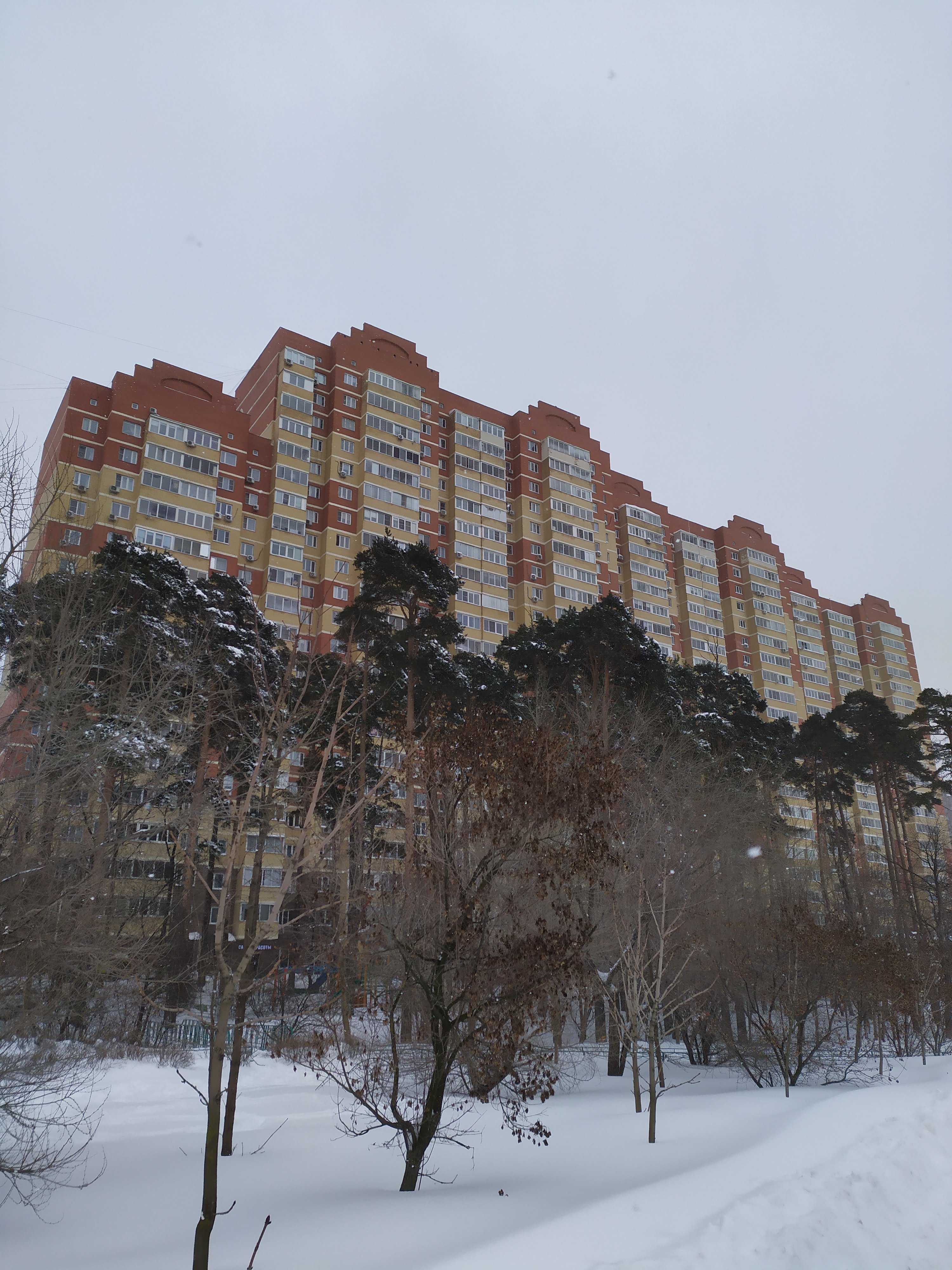 школа раннего плавания Real Swim фото 2